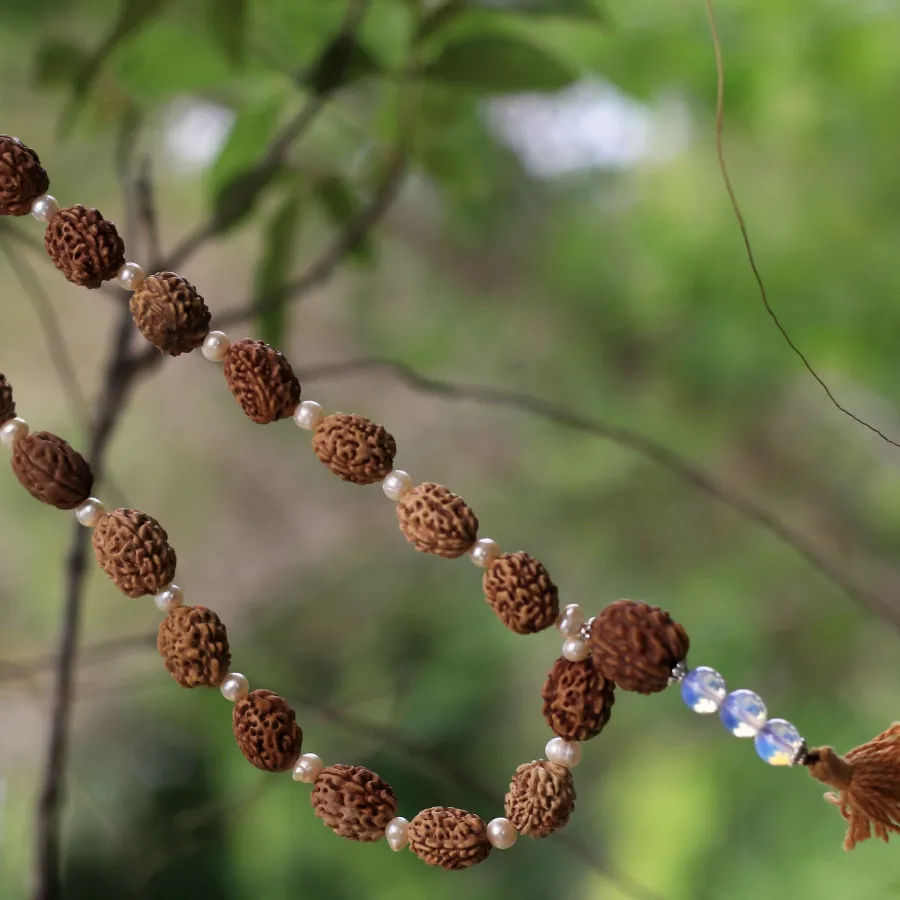 A rudraksha mala hanging among green leaves